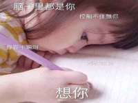 保定安双商贸有限公司