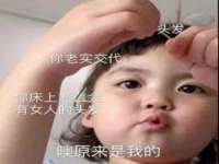 保定安双商贸有限公司