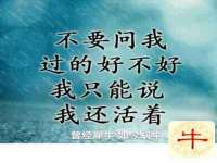 保定安双商贸有限公司