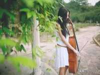 保定安双商贸有限公司