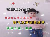 保定安双商贸有限公司