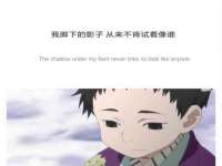 保定安双商贸有限公司