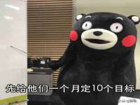 保定安双商贸有限公司