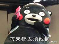 保定安双商贸有限公司