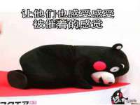 保定安双商贸有限公司