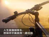 保定安双商贸有限公司