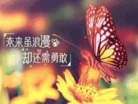 保定安双商贸有限公司