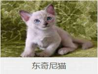 保定安双商贸有限公司
