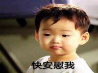 保定安双商贸有限公司