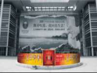 保定安双商贸有限公司