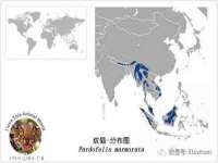 保定安双商贸有限公司
