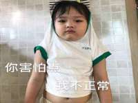 保定安双商贸有限公司
