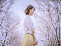 保定安双商贸有限公司