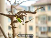 保定安双商贸有限公司