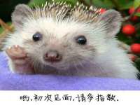 保定安双商贸有限公司