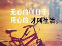 保定安双商贸有限公司