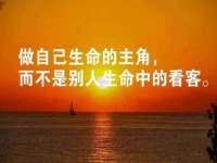 保定安双商贸有限公司