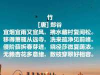 保定安双商贸有限公司