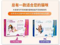 保定安双商贸有限公司