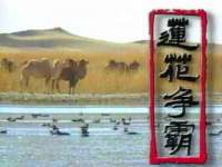 保定安双商贸有限公司