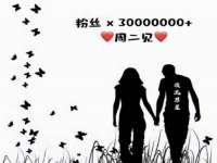 保定安双商贸有限公司