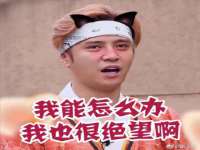 保定安双商贸有限公司
