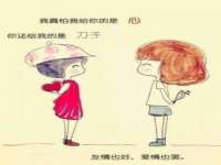 保定安双商贸有限公司