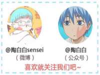 保定安双商贸有限公司