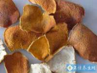 保定安双商贸有限公司