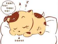 保定安双商贸有限公司