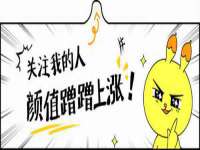 保定安双商贸有限公司