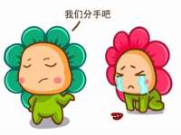 保定安双商贸有限公司
