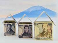 保定安双商贸有限公司