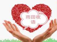 保定安双商贸有限公司