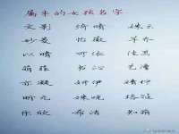 保定安双商贸有限公司